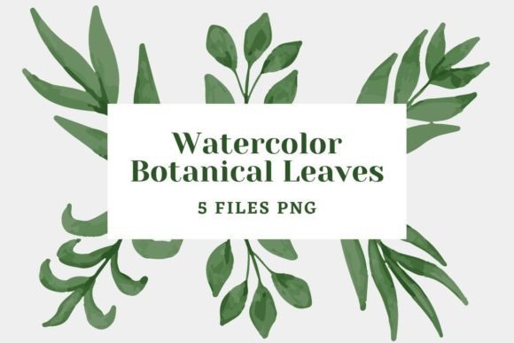Download Botanical Watercolor Pack 23 - Pack Collection