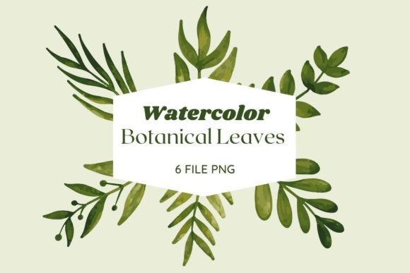 Download Botanical Watercolor Leaves Pack 17 - Pack Collection